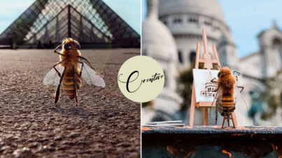 Bee instagram