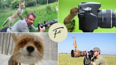 Fotografia naturalista